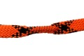 pcc bore 5.jpg