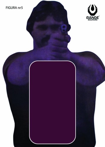 FIGURA nr 5.jpg