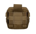 Sere Coyote 2.JPG