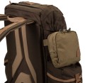 Sere Coyote 8.JPG