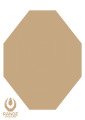 RS - IPSC (Large).png